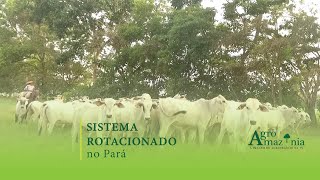 Sistema Rotacionado no Pará