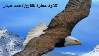 تلاوة عطرة للمقرئ احمد حيدر