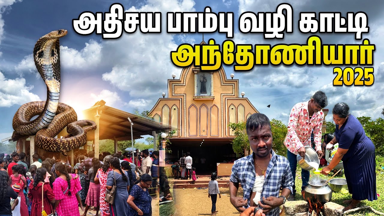 காட்டுக்குள் நடக்கும் அதிசயம் நோய்கள் எல்லாமே குணமாகுது..! கேட்ட வரம் கிடைக்குது..!