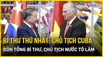 Bí thư thứ nhất, Chủ tịch Cuba chủ trì lễ đón Tổng Bí thư, Chủ tịch nước Tô Lâm | Báo VietNamNet