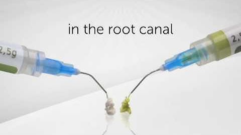 Biodinâmica International | Hydropast & Hydropast +I (Calcium Hydroxide paste)