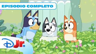 BLUEY El cono de Muffin NUEVO EPISODIO COMPLETO DisneyJuniorES