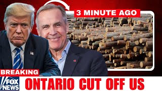 Trump LOSES IT After Ontario Blocks U.S. Lumber Shipments | Canada Cashes In Billions