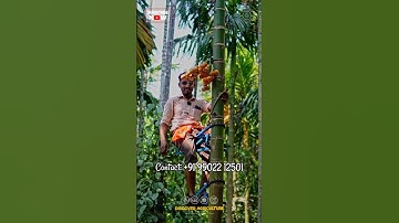 Amazing Tree Climbing CYCLE 😱