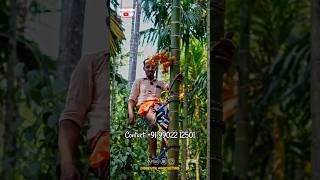 Amazing Tree Climbing CYCLE 😱