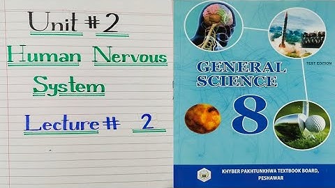 Grade 8 Unit 2 Parts of Human Nervous System and Brain with parts of brain #brain #youtube #science