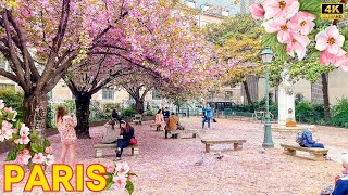 Paris, France 🇫🇷 - Paris Spring 2024 | Paris Printemps Walk 4K | Relaxing Walk (▶1h02 min)