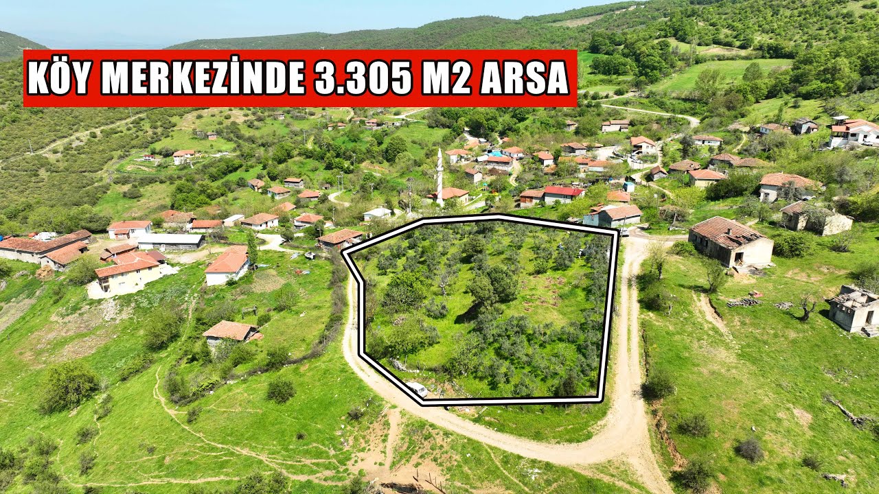 1868- Köyün Merkezinde Zeytin Ağaçlarıyla Dolu 3.305 m2 Arsa