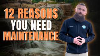 12 Reasons You NEED Routine Pond & Waterfall Maintenance!