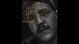 SE ME QUIEBRA LA VOZ (COVER) #cuartetodelbueno #semequiebralavoz #camilú #desakata2 #cover