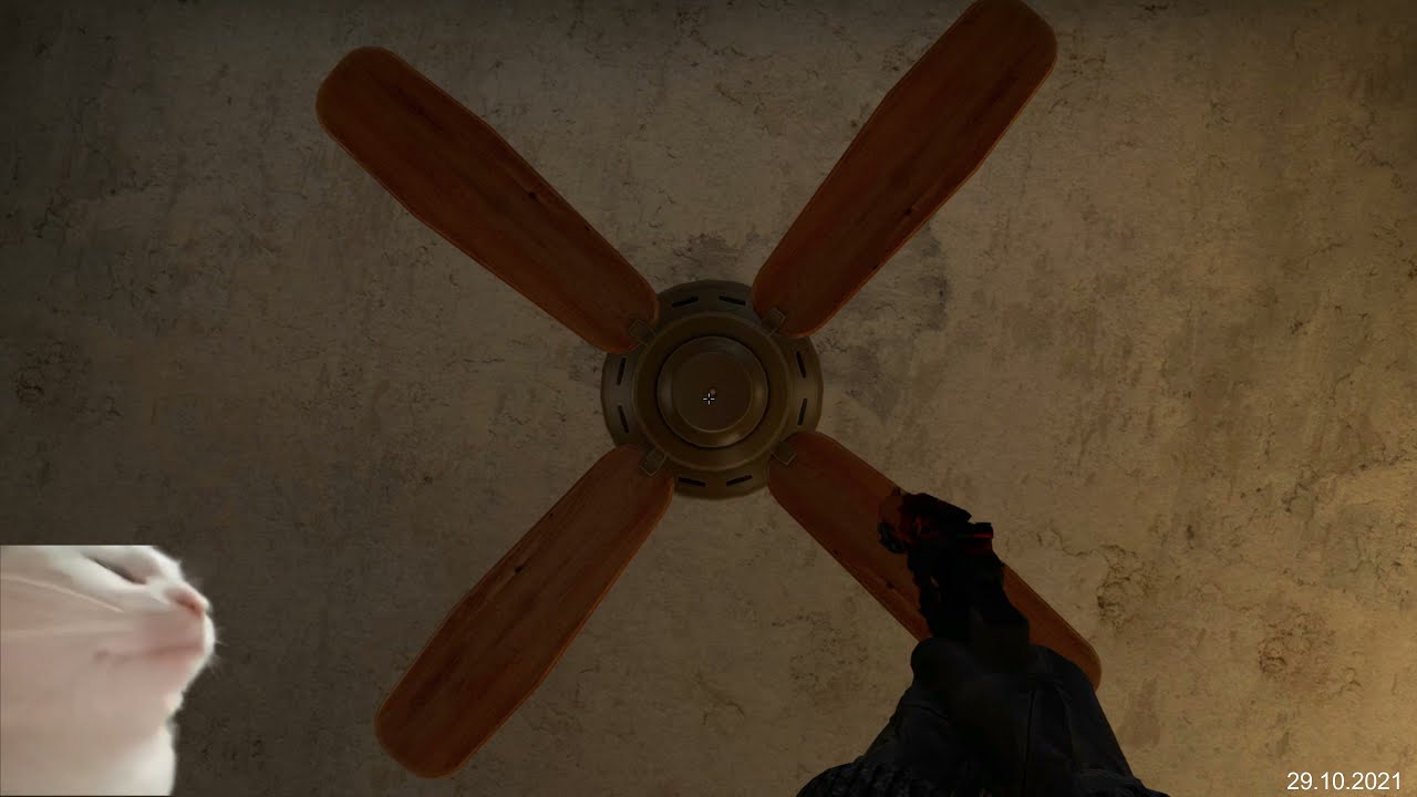 How to replicate the ideal rotation speed ft. white cat. 🤍