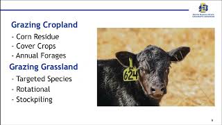Dakota Alternative Beef Cow Systems Symp.: Alternative Grazing Strategies That Increase Adaptability