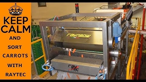 Keep Calm and Sort Carrots with Raynbow optical sorter | RAYTEC VISION SpA