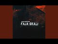 FAJA SKALI (RISKI TMP Remix)