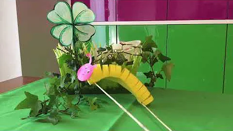 Ti aspettavo Primavera -TESTA LORETTA