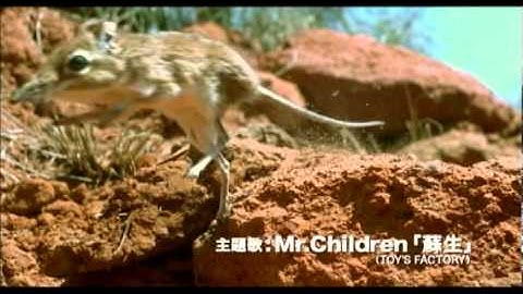 映画『ライフ −いのちをつなぐ物語−』予告編