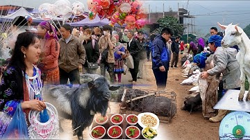 NHỘN NHỊP CHỢ TẾT VÙNG CAO - CHỢ LỢN BẢN, DÊ NÚI CỐC LY - BÀ CON ĐI SẮM TẾT