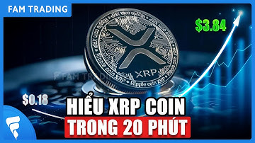 XRP là gì? Tất tần tật Ripple Coin - Các số liệu chấn động bạn cần biết!