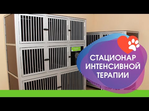 Стационар для животных