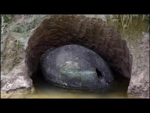 Heboh Warga Temukan Benda Aneh Di Sawah Disangka Batu Biasa Pas Di Balik Semua Syok Ternyata Halaman All Sriwijaya Post Heboh Warga Temukan Benda Aneh Di Sawah Disangka Batu Biasa Pas Di Balik Semua Syok Ternyata Halaman All Sriwijaya Post