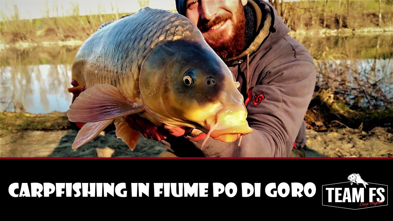 TeamFS - Carpfishing in Fiume Po (WildFishing nelle Legnaie) Il Nuovo Hot-Spot 1440HD