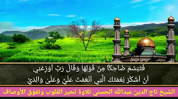 تلاوة مجودة ابداعية للشيخ تاج الدين عبدالله الحسني ماتيسر من سورة النمل