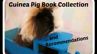 GUINEA PIG BOOK COLLECTION | Recommendations