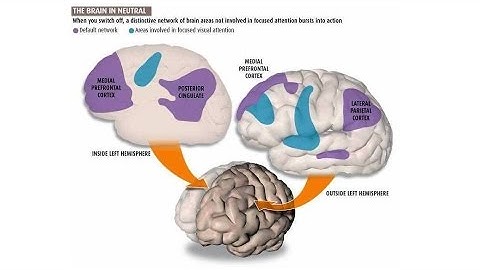 Morgan Freeman: Marcus Raichle and the Default Mode Network