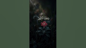 لا إله إلا الله 🍃 ____________#اكسبلور #explore #trending #short #تلاوات #تلاوة_خاشعة #قرآن #حالات
