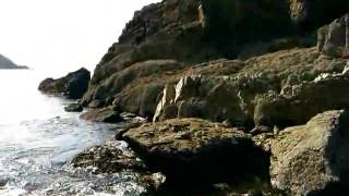 Selfie Stick Time - Panorama Hope Cove Low tide on the rocks