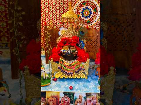 Today’s my deities darshan.  #shaligrama #govardhan # harekrishna