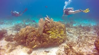 Isla Mujeres, Mexico in 4k