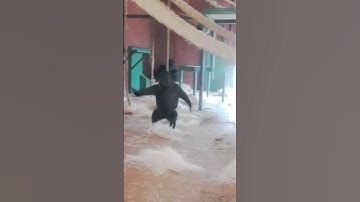 #day 27/#75hardchallenge ☀️💦✨ kitne funny workouts hote hai 🤣 #remix #music #shorts #fitness #trend