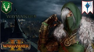 WayWatcher Master. Wood Elves Vs High Elves. Total War Warhammer, Multiplayer