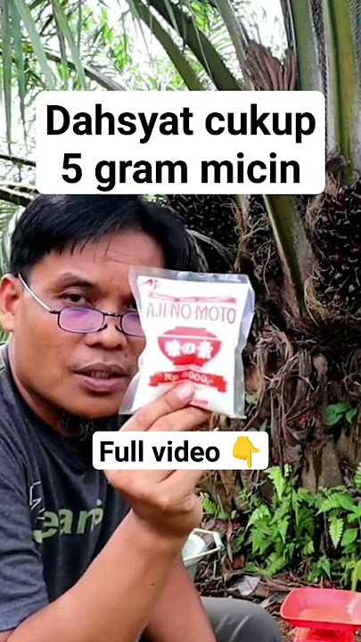 pupuk Micin ampuh #shortvideo #kelapasawit #ajinomoto