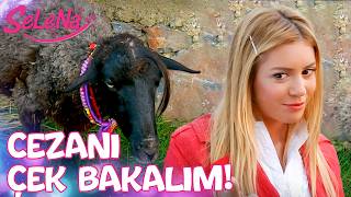 Hades Kurbanlık Koyun Olacak - Selena 17. Bölüm