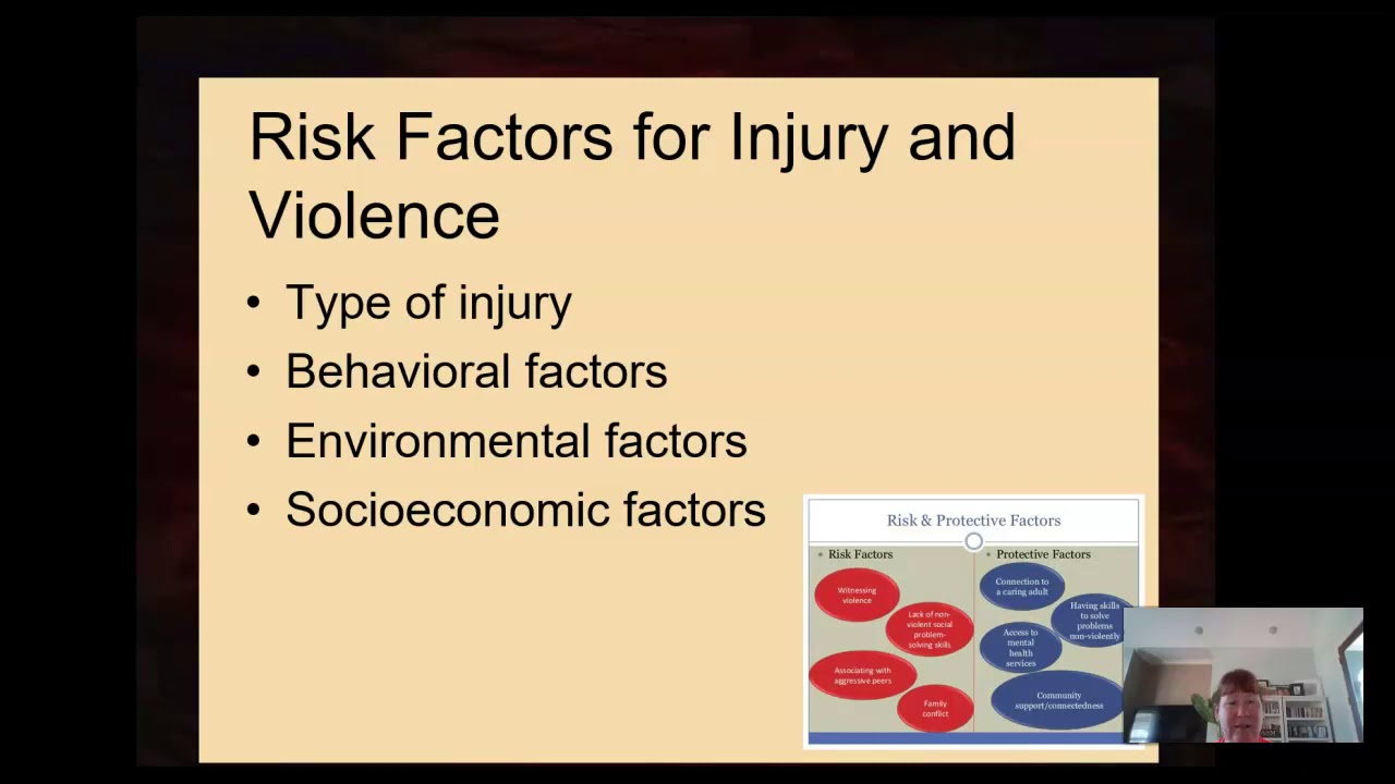 chapter 12 injury and violence