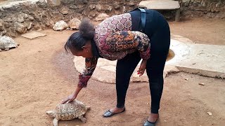 Chania falls in thika Kenya Africa // A day at the zoo //Beautiful sceneries // #subscribe #fyp