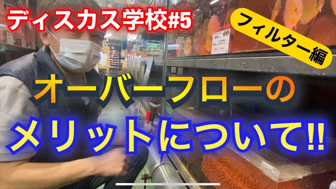 【ディスカス学校#5】フィルターについて、オーバーフロー編