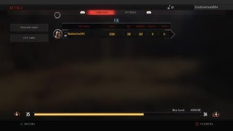 Call of Duty®: Black Ops 4 Zombies IX (why u crash)