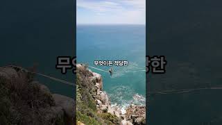 공자의 명언 과유불급