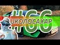 ШКОЛОСАХАР #66 БОГАТЫЙ ШКОЛЬНИК