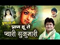 Pran hu te pyari kishori radhe shyama hit dhruvdas sung by jsr madhukar banke bihari ji nidhivan