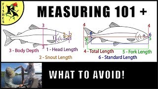 Fishing Helper: How to measure a fish (most fishes)