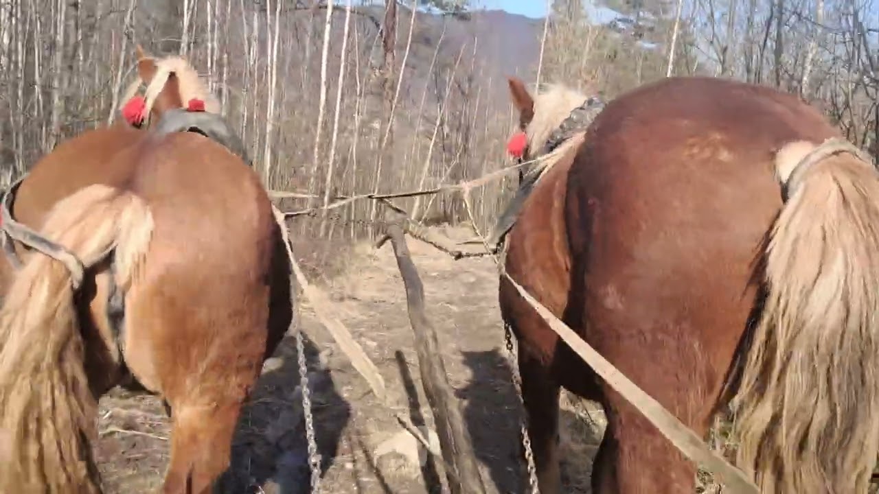 Javelin і байрактар