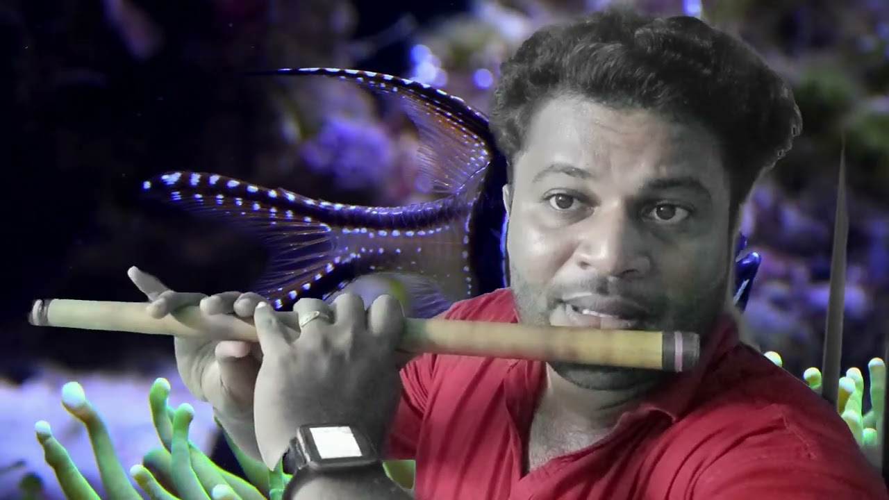 ഉണ്ണികളെ ഒരു കഥ പറയാം. Flute Tutorial.  PART-2