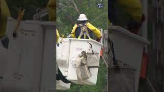 Blair officials continue cleanup after weekend storm