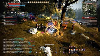 BDO Console Awakening Sage Node war C 2025/05/08