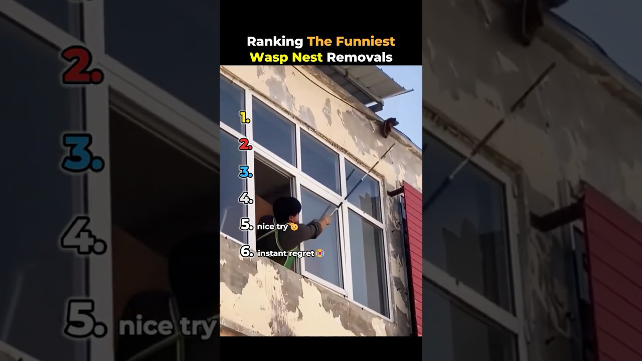 Ranking The Funniest Wasp Nest Removals