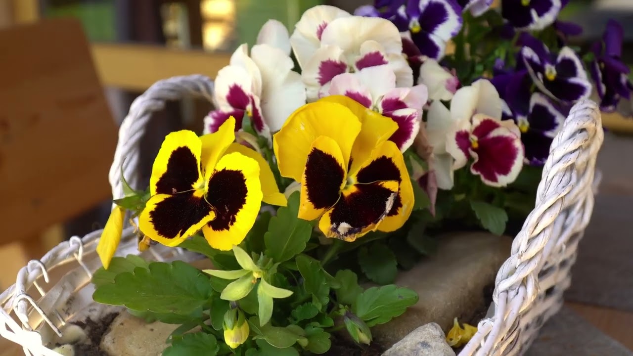 Osada nad Potokiem Kościelisko